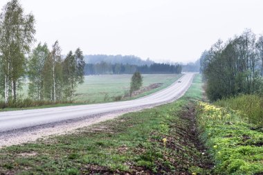 asfaltlı kırsal yol ile bazı arabalar, uzakta ki orman, yol boyunca çiftçi tarlaları görülebilir