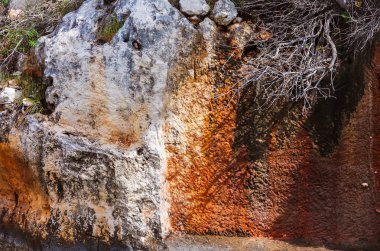 doğal kaya duvarı, gri ve kırmızı-kahverengi tonları, kuru dalları, kaya üzerinde kökleri; Soyut, doğal arka plan