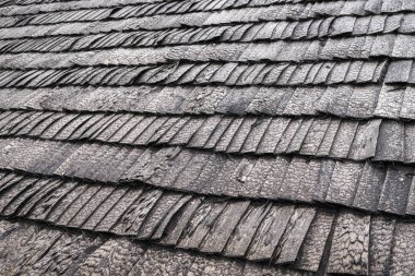 yakın çekimde çatı ahşap zona; gri doğal arka plan; satırlar halinde düzenlenmiş soyut arka plan