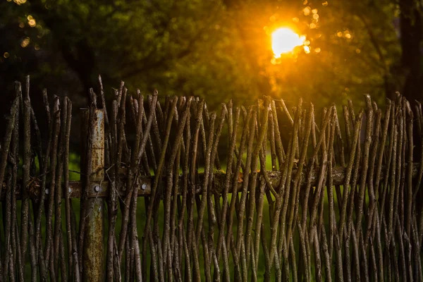 Clôture Des Branches Entrelacées Dans Style Ancien Dans Une Cour — Photo