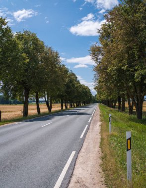 Yol, asfalt otoyol, kenarları boyunca büyük ağaçlar, beyaz bulutlu mavi gökyüzü.