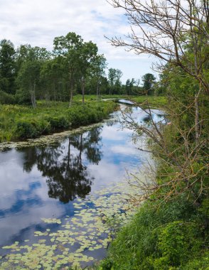 Sudaki bulutların yansımasına sahip küçük, dar bir nehir; kıyılarda ağaçlar ve çalılar var.