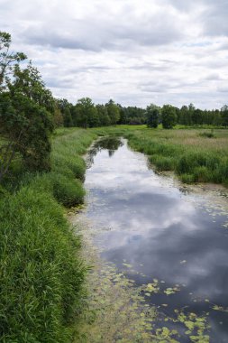 Kırsal alandaki dar bir nehir, gökyüzünün yansıması ve sudaki bulutlar, her iki taraftaki çimenlik alanlar.