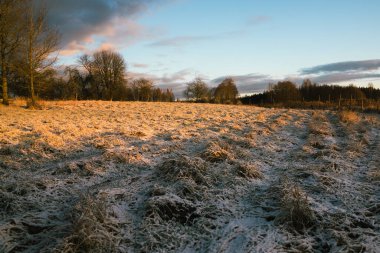 Kırsal kesimde güneş doğuyor, gölgeler ve aydınlık kenarlar, yer ince bir kar tabakasıyla kaplı.