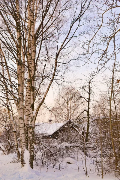 Paysage hivernal avec une maison et des arbres — Photo