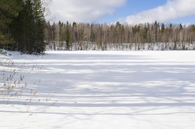 güneşli kış manzarası