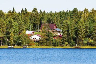 Ağaçların arasında kır evleri olan manzara