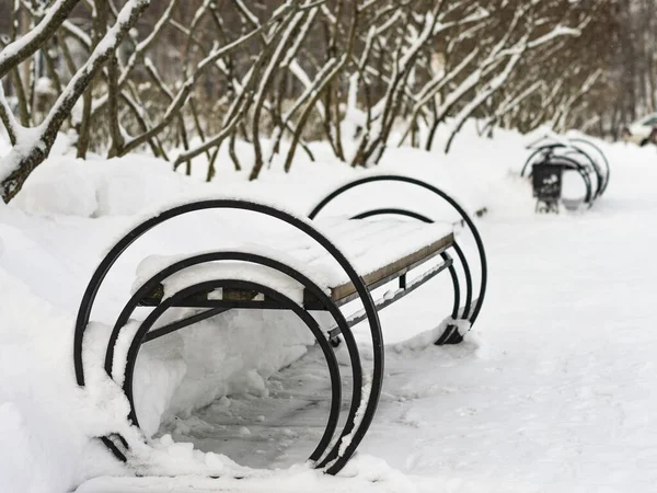 Bancs enneigés dans le parc d'hiver — Photo
