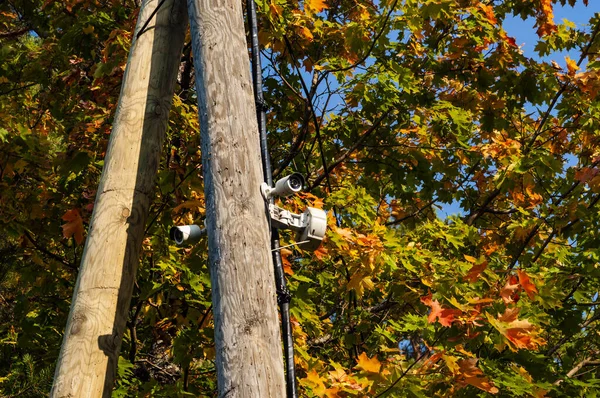Tahta sütundaki güvenlik kameraları