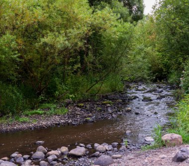 Taşlı kıyıları olan küçük bir orman nehri. Orman Yaz Arazisi