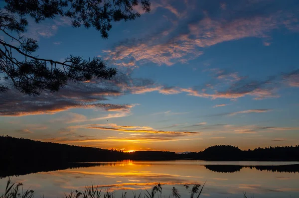 Bela Paisagem Noturna Com Pôr Sol Atrás Floresta Lago Florestal — Fotografia de Stock