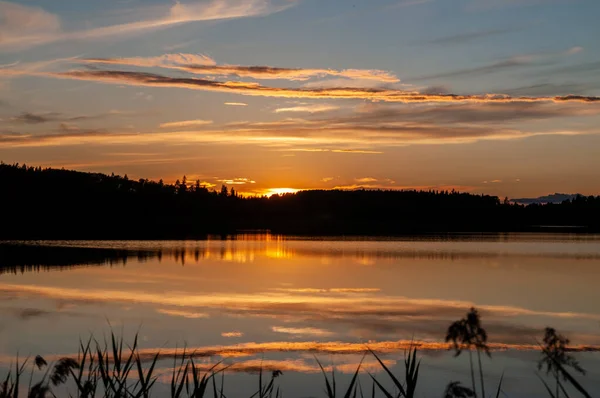 Όμορφο Βραδινό Τοπίο Ηλιοβασίλεμα Πάνω Από Μια Λίμνη Του Δάσους — Φωτογραφία Αρχείου