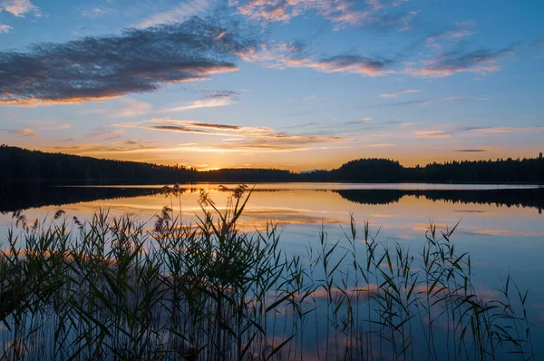 Sahilde gün batımının akşam manzarası. Orman gölü üzerinde dramatik bir gökyüzü