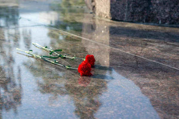 Kaksi Punaista Neilikkaa Makaa Graniitilla Kukkia Muistomerkki — kuvapankkivalokuva