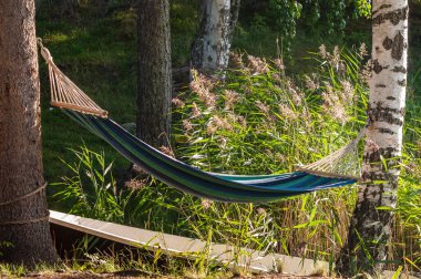 Bir yaz günü, ağaçlar arasında uzanan hamak.