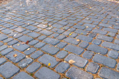 Yaya yolu kaldırım taşlarıyla döşelidir. asfalt bir yolda sonbahar yaprakları