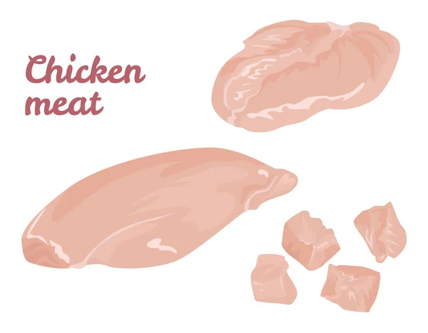 Kycklingkött Isolerad Vit Bakgrund Färsk Filé Och Tärnade Bitar Vektorillustration — Stock vektor