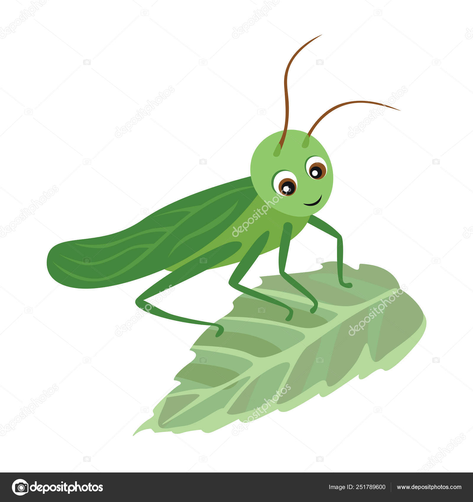 Cartoon Grasshopper Green Leaf Vector Illustration Children's Style White  Background Stock Vector Image by ©Sunnydream #251789600