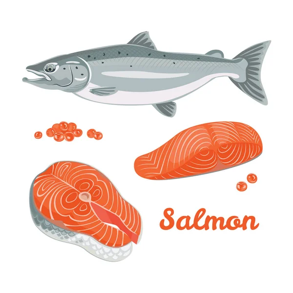 Salmon Vektor Dalam Gaya Datar Set Gambar Ikan Salmon Steak - Stok Vektor