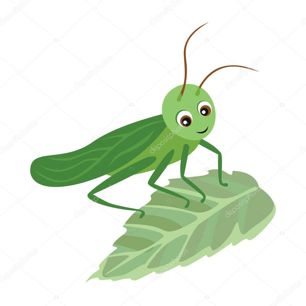 Cartoon grasshopper on green leaf. Vector illustration in children's style on white background. Simple and flat concept art.