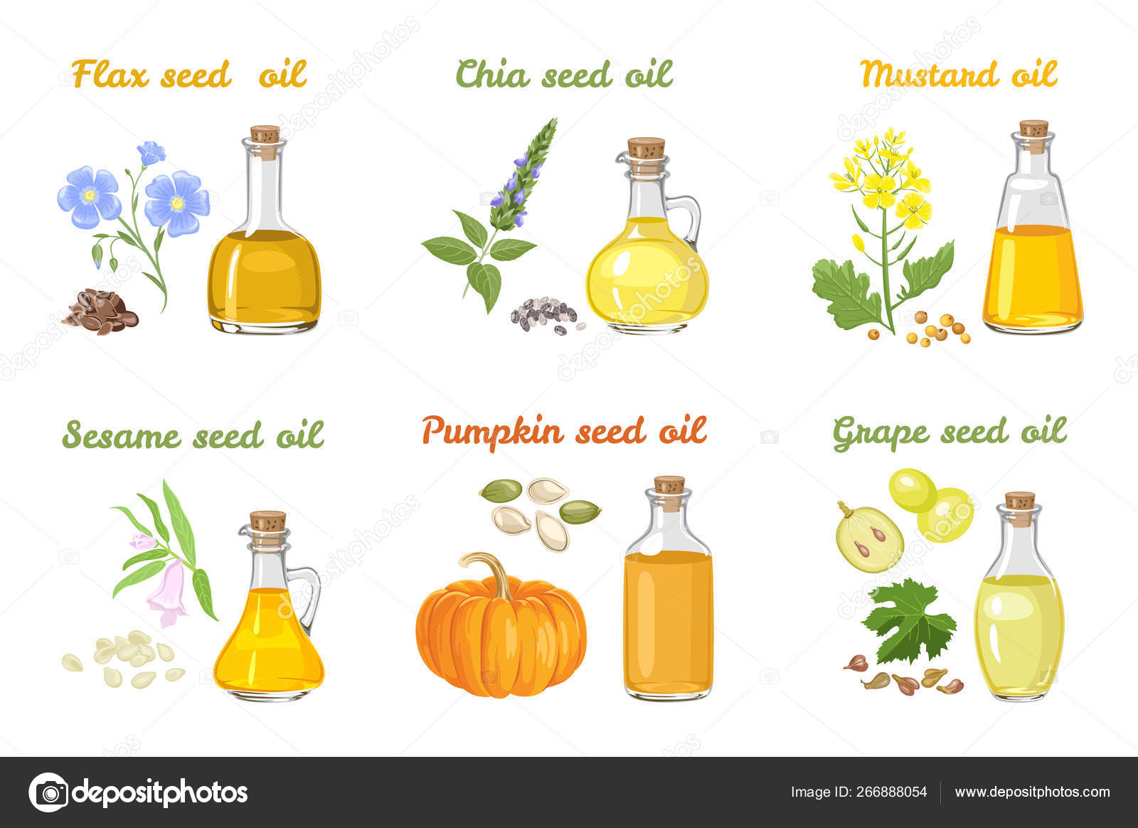Set Vegetable Oils Glass Bottles Different Shapes Mustard Sesame Pumpkin  Stock Vector Image by ©Sunnydream #266888054