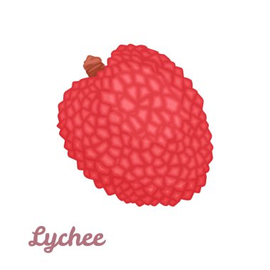Lychee meyvesi beyaz arka planda izole edilmiş. Çizgi film tarzında tropikal meyvenin vektör çizimi.