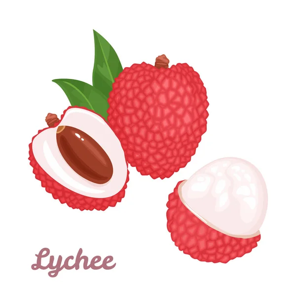Lychee Fruit Set Whole Tropical Fruit Half Peeled Green Leaves — Stock Vector