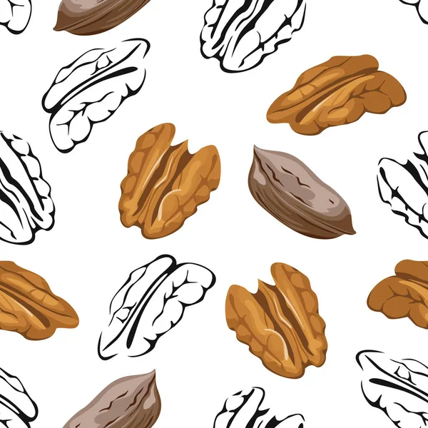 Pecan Nuts Seamless Pattern Color Illustration Black White Outline Vector — Stock Vector