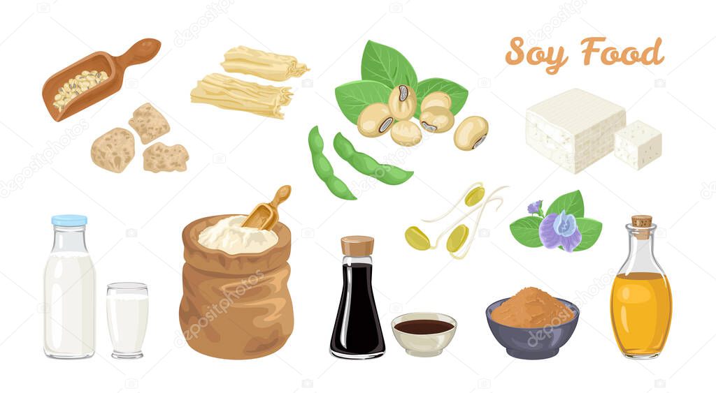 Soy food set. Soybeans and pods, tofu, scoop with beans, soy meat, milk in  bottle and glass, sauce, miso paste, oil, bag of flour, tofu skin, soy sprouts and flower. Vector cartoon flat illustration.