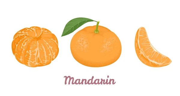 Mandarinen Oder Mandarinenset Vektor Illustration Von Ganzen Zitrusfrüchten Mit Grünem — Stockvektor