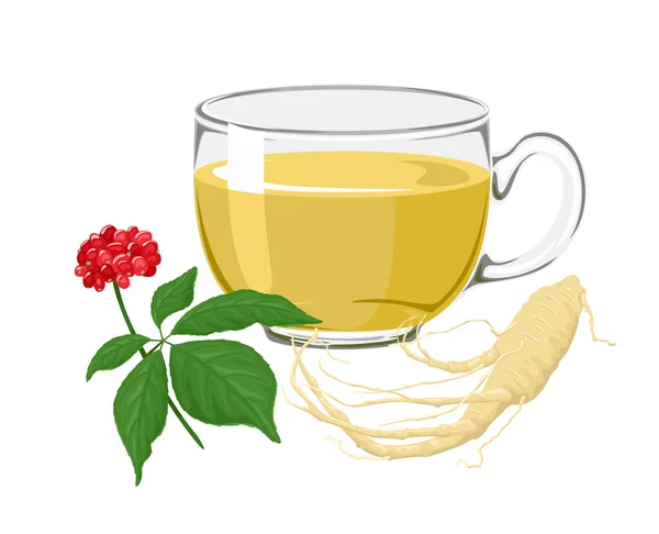 Ginseng Una Taza Vidrio Ilustración Vectorial Una Bebida Curativa Raíz — Vector de stock