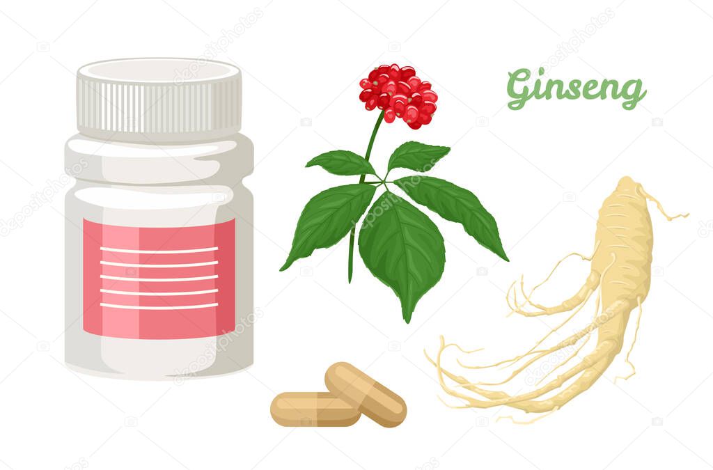 Ginseng capsules isolated on white background. Bottle of pills, medical plant and root. Vector illustration of dietary supplements in cartoon flat style. Superfood.