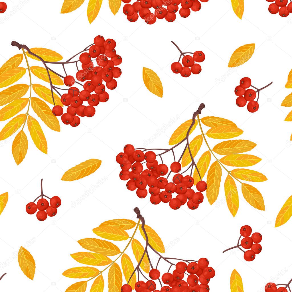 Rowan seamless pattern. Bunches of red berries and yellow autumn leaves isolated on white background. Vector illustration in cartoon flat style.