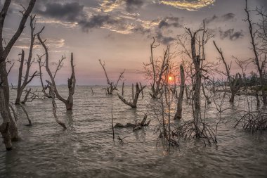 yüksek gelgit plaj sahnesi