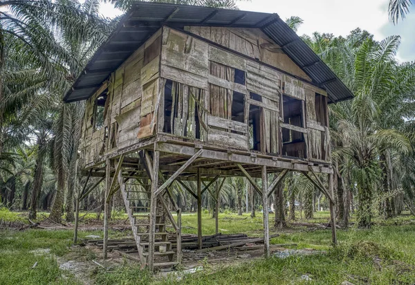放棄された古い木造の小屋 — ストック写真