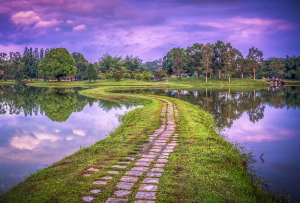 Caminhe Caminho Para Jardim Sempre Verde — Fotografia de Stock