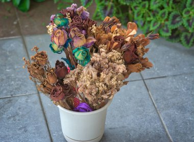 kuru ve çiçek korumak