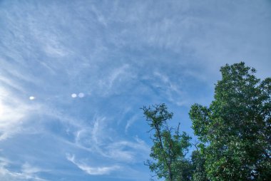 gökyüzü yukarı bakıyor