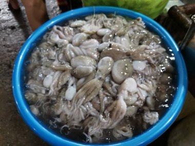 satılık mürekkep balığı kova