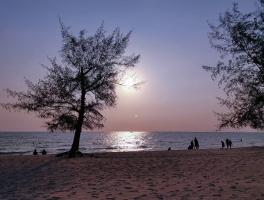 insanlar akşam plajda gezinme