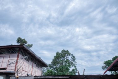 çatı ya da yukarı bakıyor