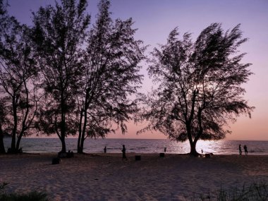 insanlar akşam plajda gezinme