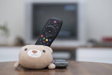 Oyuncak ayı ve Tv uzaktan tutucu