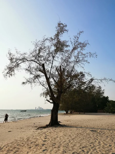 Spaziergänger Abendstrand — Stockfoto