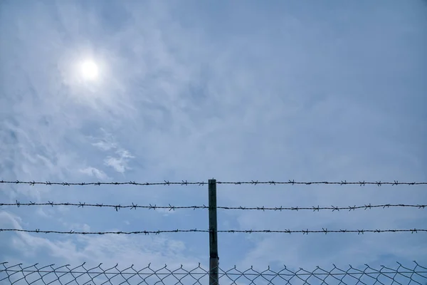 Blickar Uppåt Himlen — Stockfoto