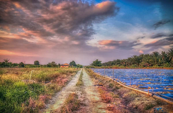 Tramonto Alba Villaggio Rurale Malese — Foto Stock