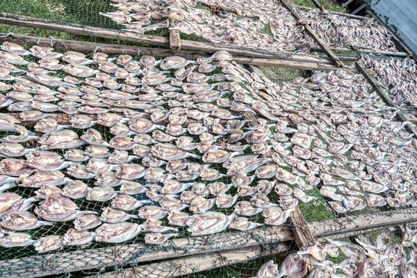 Pesce Salato Secco All Aperto Sotto Sole — Foto Stock