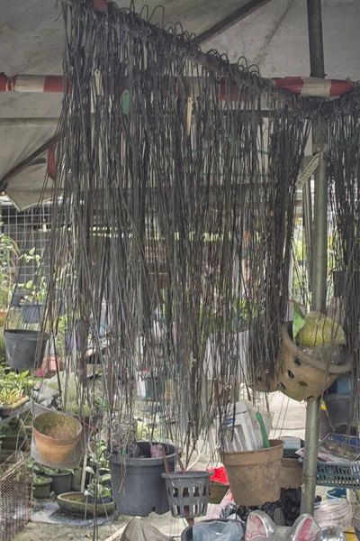 lots of flower pot hook hanging on the ceiling