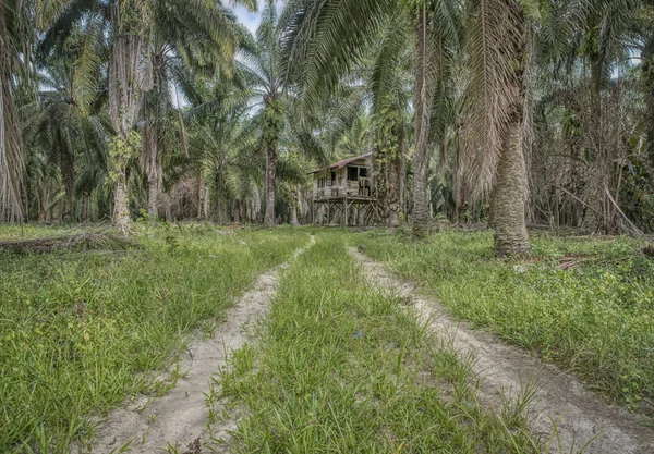 Oude Houten Shack Verlaten — Stockfoto