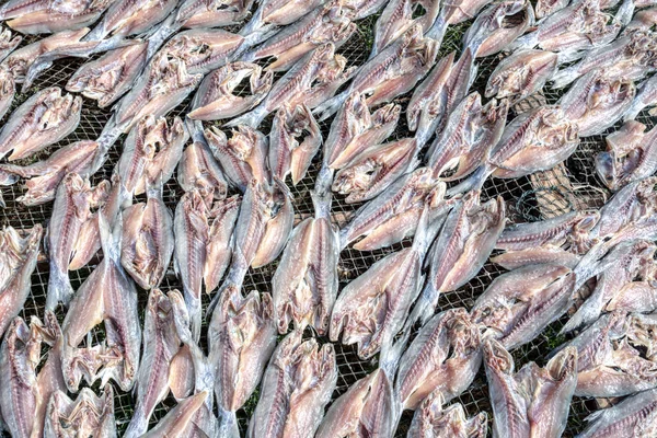 Pescado Salado Seco Aire Libre Bajo Sol — Foto de Stock